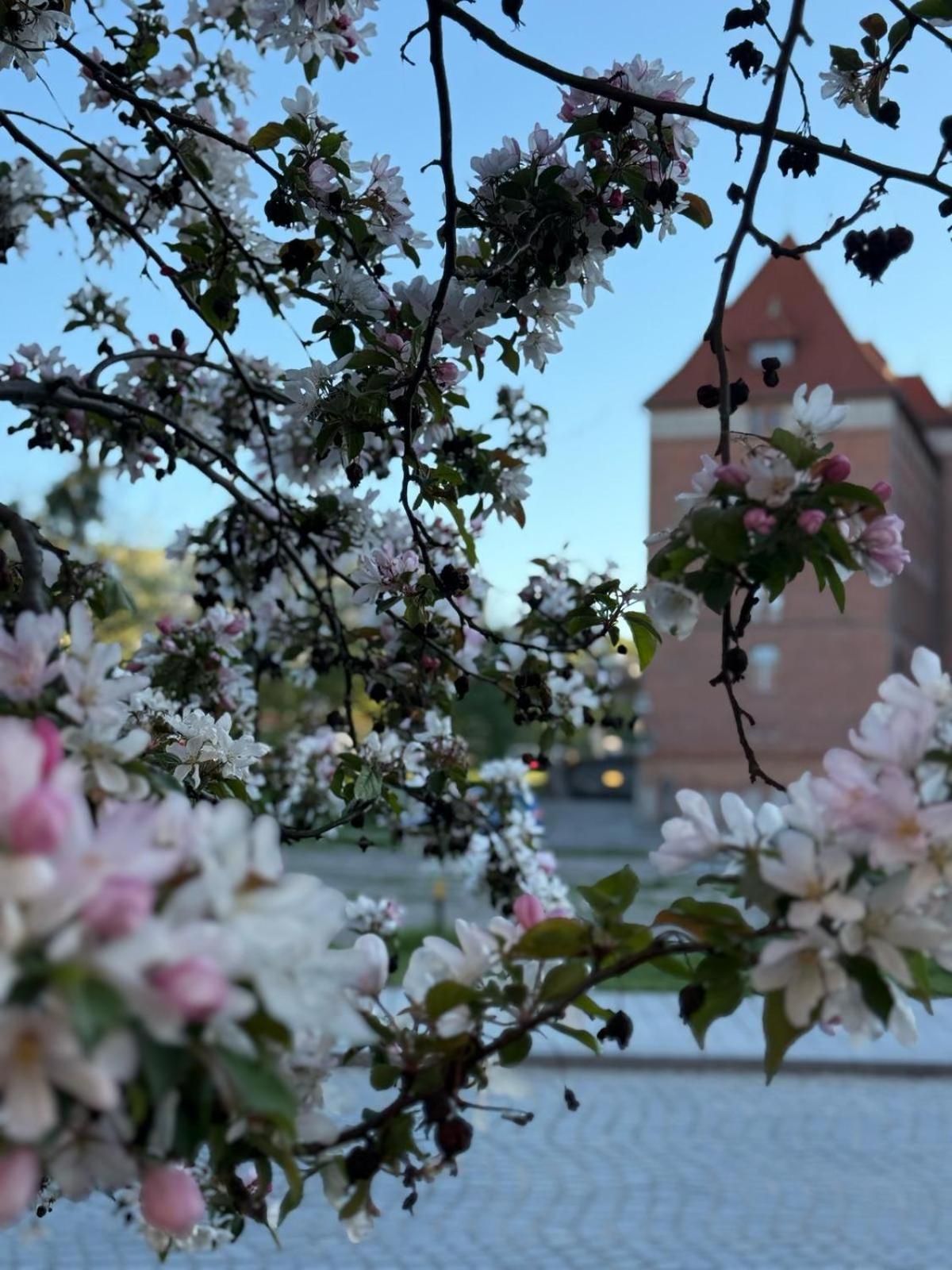 Baltic Old Town Heart Гданськ
